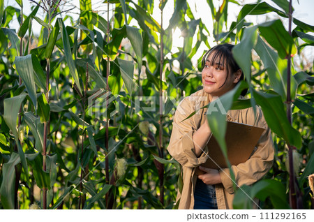 A young, satisfied Asian female agronomist or farmer is working in a corn field. A young, satisfied Asian female agronomist or farmer is working in a corn field. 111292165