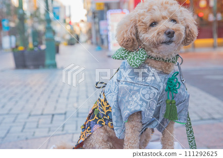 dog and hakama dog and hakama 111292625
