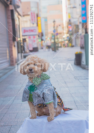 dog and hakama 111292741