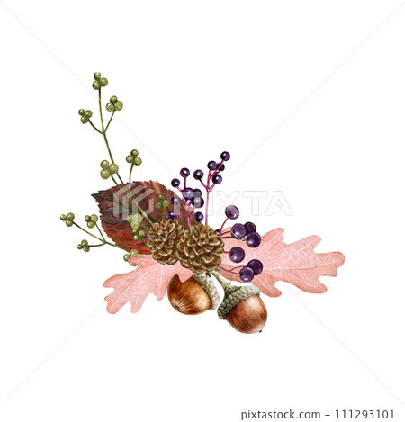 Forest decor from natural materials. Watercolor illustration. Hand drawn vintage style autumn season rustic decoration. Forest elements, acorn, berries, dry leaves arrangement. White background 111293101