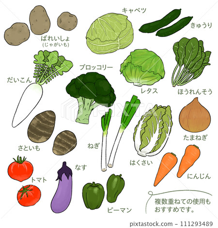新增了15種指定蔬菜_西蘭花的簡單手繪插圖 111293489