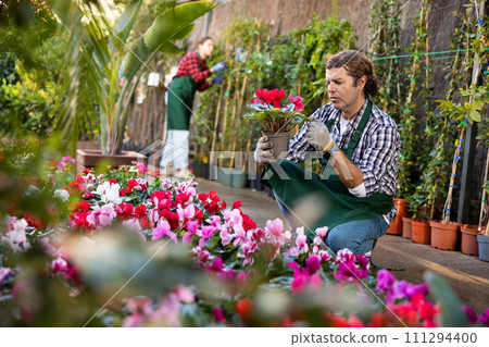 Portrait of handsome male florist selling potted flowers in shop Portrait of handsome male florist selling potted flowers in shop 111294400
