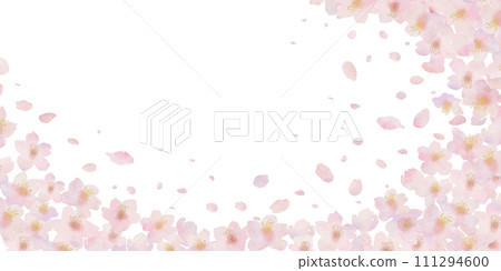 Watercolor illustration background of cherry blossoms and cherry blossom petals 111294600