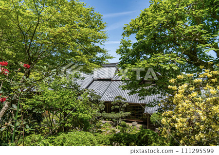 Japanese garden of Seinan-in of Taima-dera Temple Japanese garden of Seinan-in of Taima-dera Temple 111295599