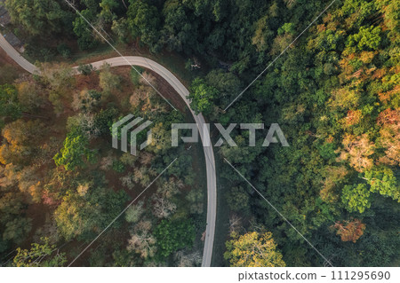 Roads and trees in summer from a drone Roads and trees in summer from a drone 111295690