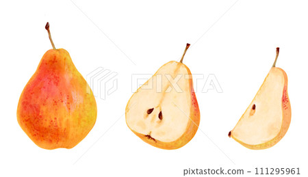 Collection of yellow pears. Whole, halves and pieces of fruit. Botanical watercolor illustration. Clip art of ripe fruits from a tree. Vegetarian products.Sketch of organic food.Hand drawing isolated. Collection of yellow pears. Whole, halves and pieces of fruit. Botanical watercolor illustration. Clip art of ripe fruits from a tree. Vegetarian products.Sketch of organic food.Hand drawing isolated. 111295961