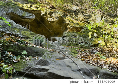 Chichibu Temple No. 32 Hoshoji Temple's approach to Okunoin Temple is closed 111295996
