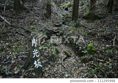 Gekkozaka, the approach to Okunoin of Chichibu Temple No. 32 Hoshoji Temple 111295998