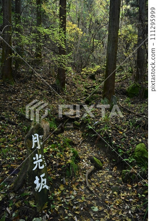 Gekkozaka, the approach to Okunoin of Chichibu Temple No. 32 Hoshoji Temple Gekkozaka, the approach to Okunoin of Chichibu Temple No. 32 Hoshoji Temple 111295999