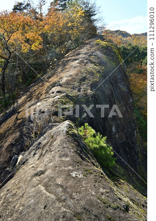 The thin ridge of Ofunaiwa in Okunoin, Chichibu temple No. 32 Hoshoji Temple 111296010