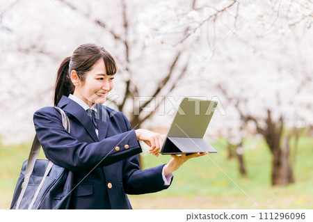 Junior high school students, high school students, high school girls, and high school girls using tablet PCs under cherry blossoms 111296096
