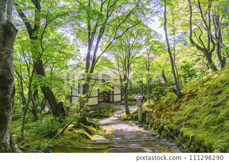 初夏的京都、常寂光寺、從末吉坂看到的被新綠包圍的仁王門 111296290