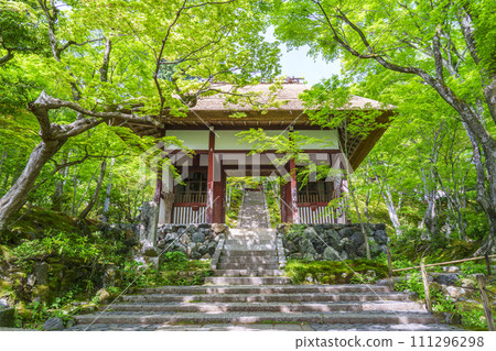 京都初夏,常寂光寺,新王門周圍綠樹環繞 京都初夏,常寂光寺,新王門周圍綠樹環繞 111296298