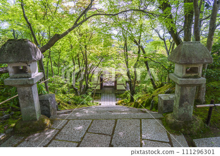 京都的初夏，常寂光寺，從正殿到仁王門的小路 111296301