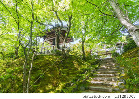 京都初夏，常寂光寺，鐘樓周圍綠樹環繞 111296303