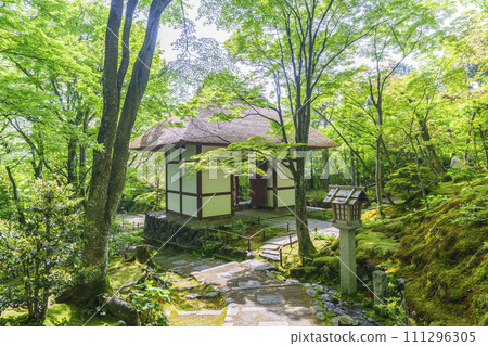 初夏的京都、常寂光寺、從末吉坂看到的被新綠包圍的仁王門 111296305