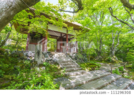 京都初夏，常寂光寺，新王門周圍綠樹環繞 111296308