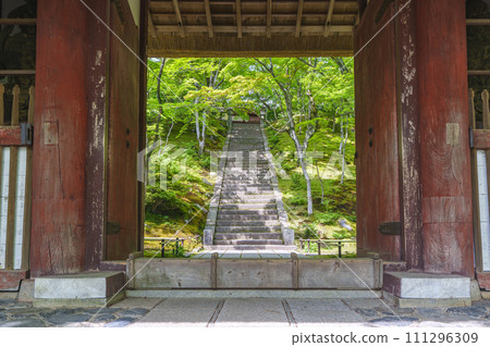 京都初夏，常寂光寺，從仁王門看到的正殿 111296309