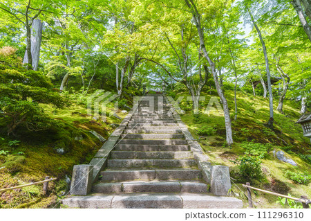 京都初夏，常寂光寺，從仁王門看到的正殿 111296310