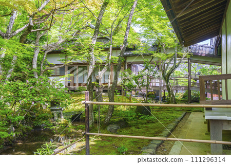 京都初夏，常寂光寺，正殿後方的日本花園，周圍環繞著新鮮的綠色植物 111296314