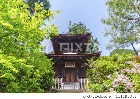 Early summer in Kyoto, Jojakkoji Temple, Tahoto pagoda surrounded by fresh greenery 111296315