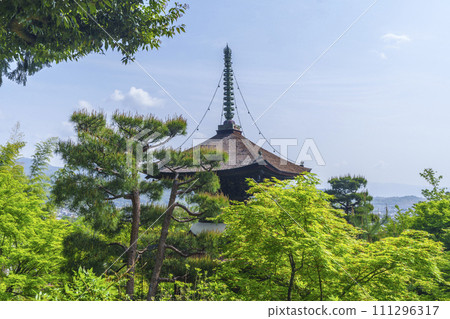 Early summer in Kyoto, Jojakkoji Temple, Tahoto pagoda surrounded by fresh greenery 111296317