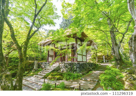 Early summer in Kyoto, Jojakkoji Temple, Niomon gate surrounded by fresh greenery Early summer in Kyoto, Jojakkoji Temple, Niomon gate surrounded by fresh greenery 111296319