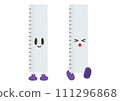 ruler 111296868