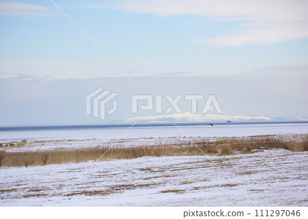 Nemuro coast covered with drift ice Nemuro coast covered with drift ice 111297046
