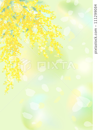 明亮的綠色背景與含羞草 111299084