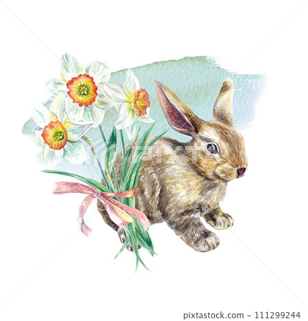 Easter bunny watercolor, daffodils. Illustration isolated on white background. Greeting cards, invitations, covers, banners, posters. 111299244