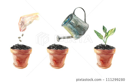 Stages of planting a plant. Clay pots, hand, watering can. Watercolor illustration isolated on white background. Covers, spring banners, packaging. 111299280