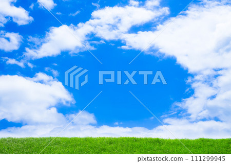 綠色草原和藍天 111299945