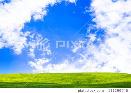 綠色草原和藍天 綠色草原和藍天 111299946
