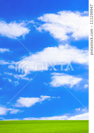 綠色草原和藍天 綠色草原和藍天 111299947