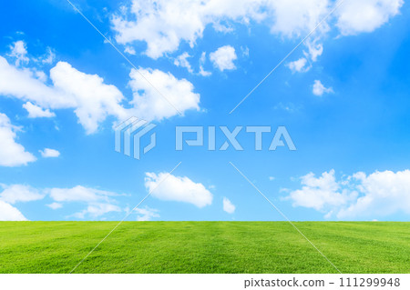 綠色草原和藍天 111299948