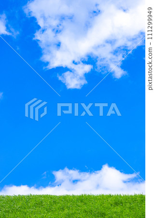 綠色草原和藍天 綠色草原和藍天 111299949