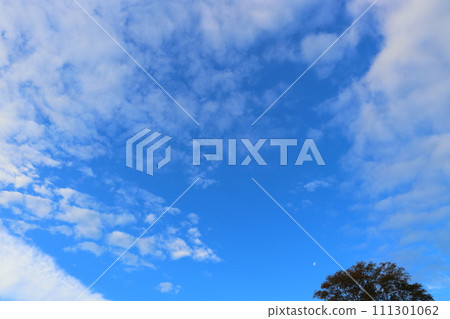 Blue sky clouds moon tree Blue sky clouds moon tree 111301062