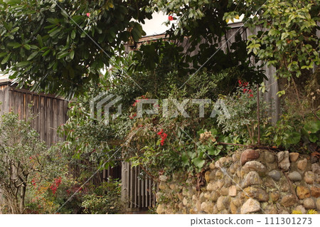 Flower garden 111301273