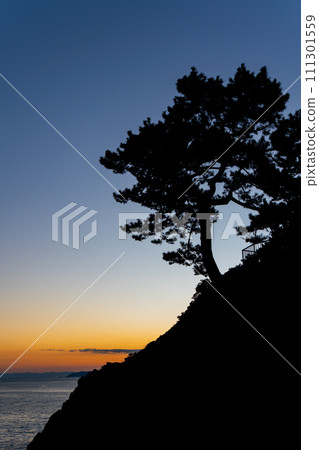 海、夕陽和大樹的對比 海、夕陽和大樹的對比 111301559