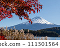 Mt富士和秋葉在河口湖 111301564