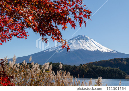 Mt富士和秋葉在河口湖 Mt富士和秋葉在河口湖 111301564