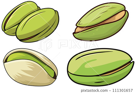 pistachio nut food vector. natural vegetarian pistachio nut food vector illustration pistachio nut food vector. natural vegetarian pistachio nut food vector illustration 111301657