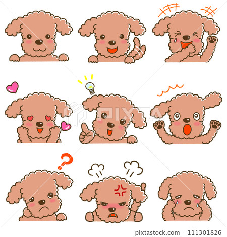 一套玩具貴賓犬的各種表情 111301826
