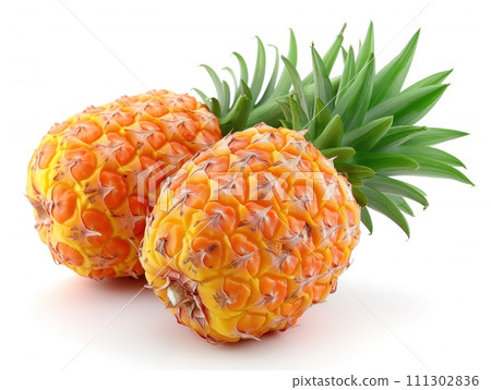 pineapples closeup on white background 111302836