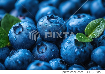wet blueberry closeup berry background 111302853