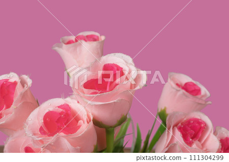 Close-up of pink roses on pink background, Valentine's Day Close-up of pink roses on pink background, Valentine's Day 111304299