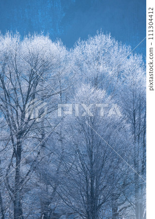 Spectacular winter scenery - beautiful hoarfrost 111304412