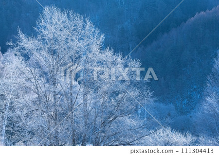 Spectacular winter scenery - beautiful hoarfrost 111304413