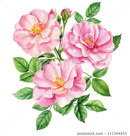 Watercolor rose flower bouquet for valentines day, soft light blush flowers, green leaves isolated. Floral greeting card 111304855